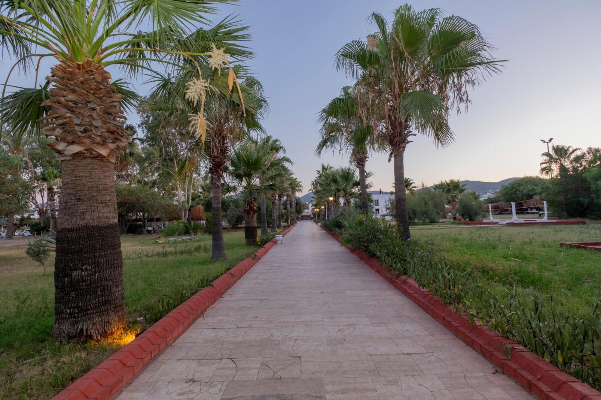Ladonia Hotels Del Mare (Adults Only) Gümbet Εξωτερικό φωτογραφία